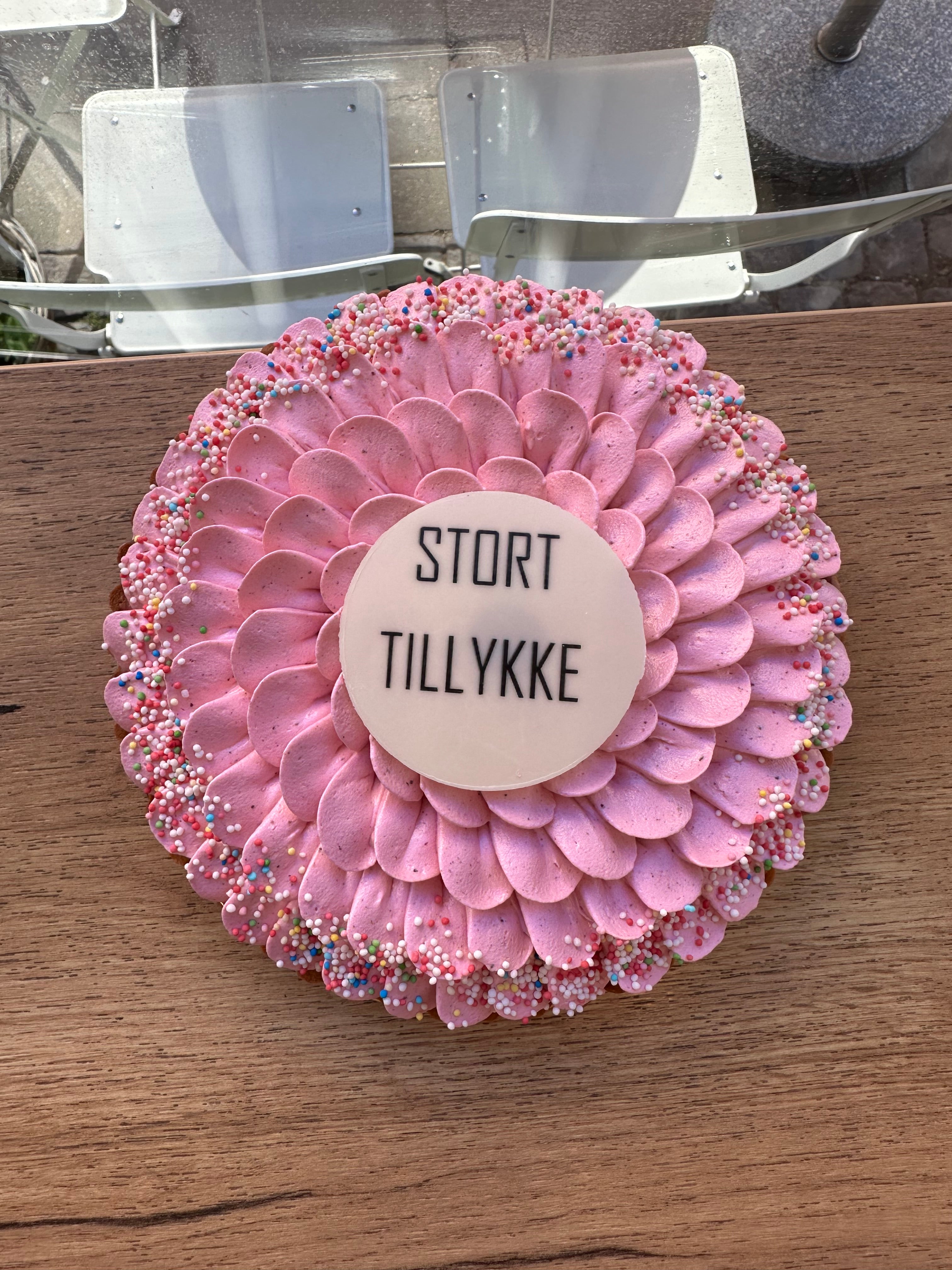 Børne-fødselsdags tærte - Stor tærte med chokoladekage og hindbær (6-8 pers)