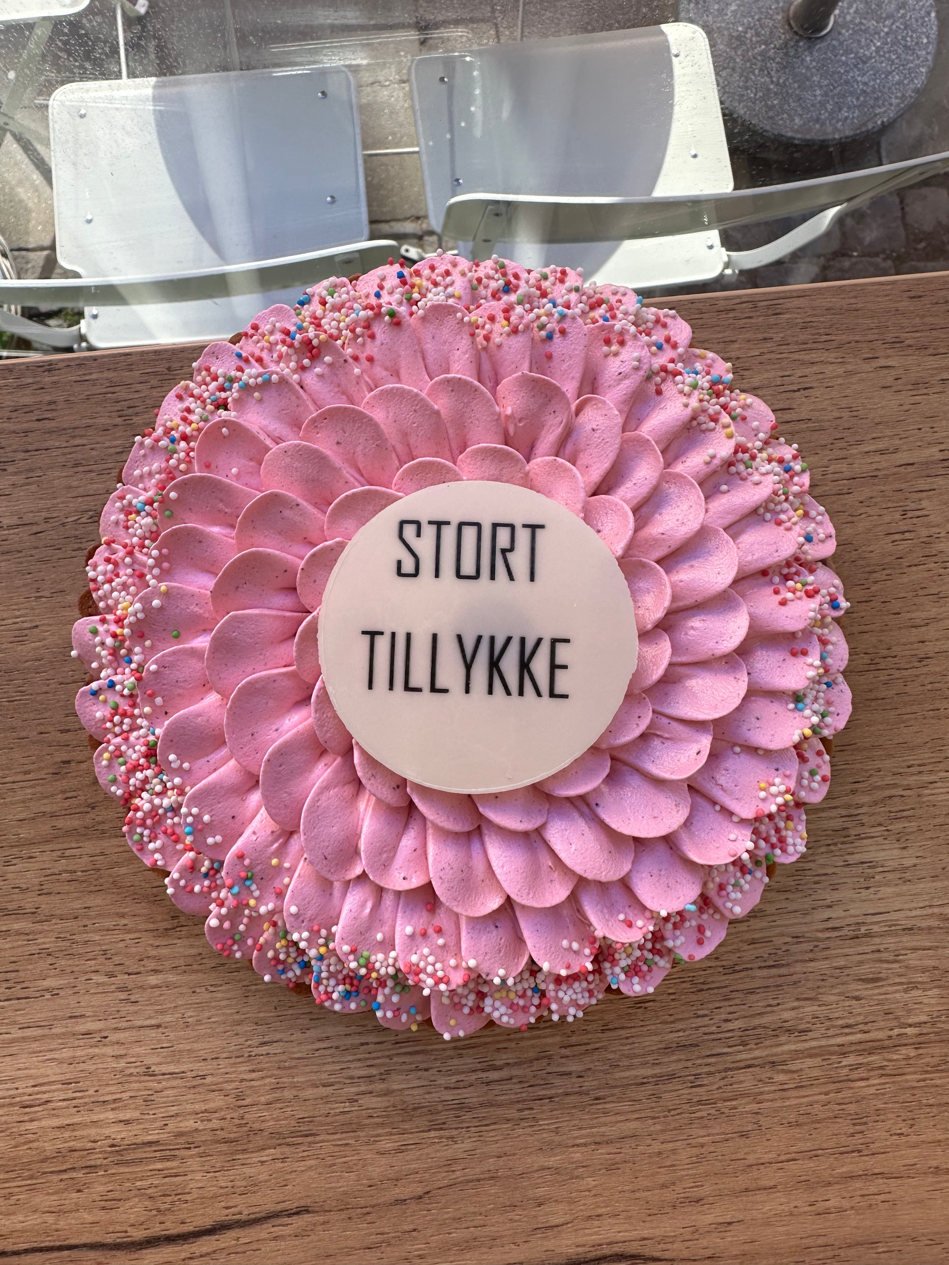 Børne-fødselsdags tærte - Stor tærte med chokoladekage og hindbær (6-8 pers)