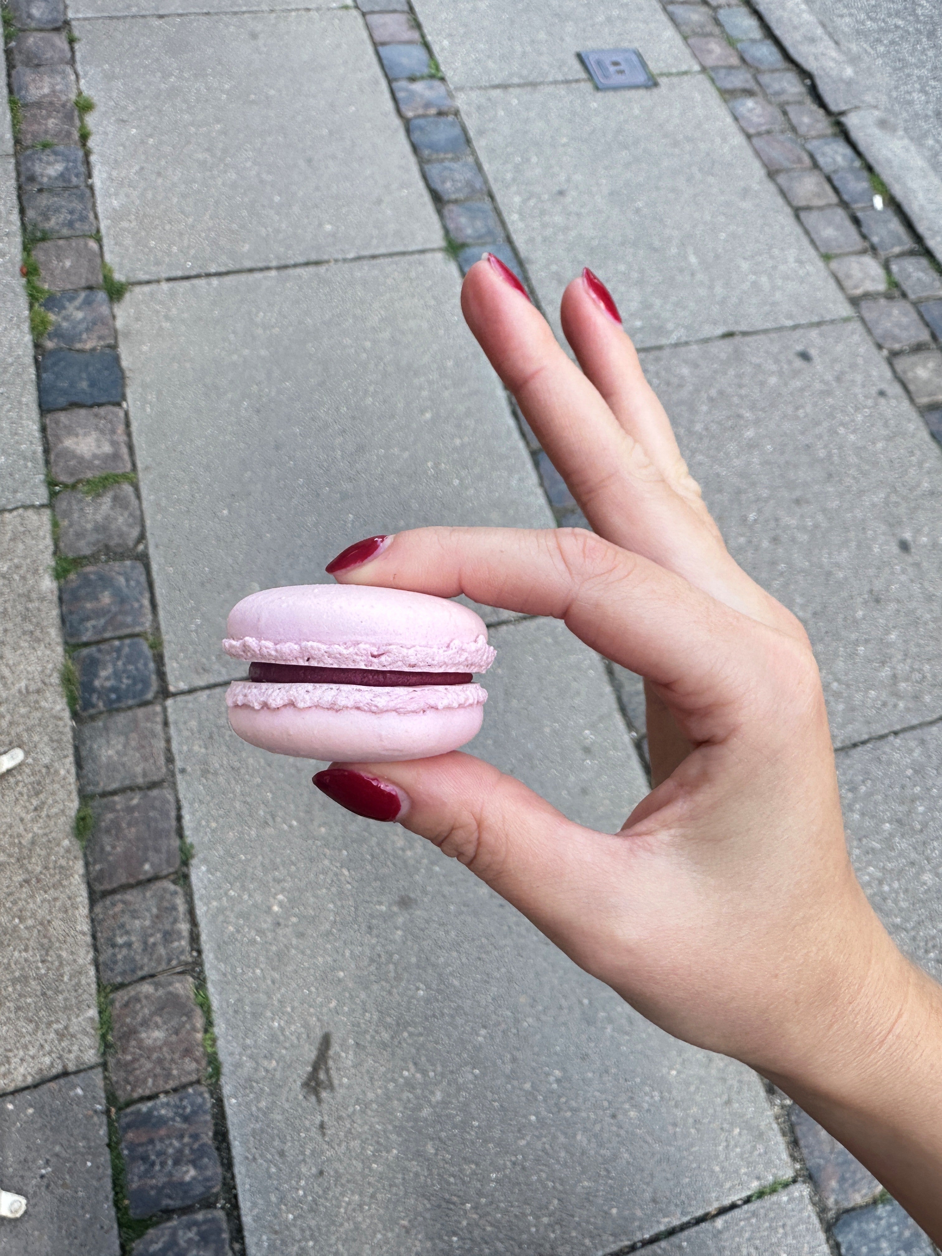 Macaron - Hindbær